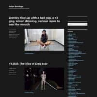 Asian Bondage